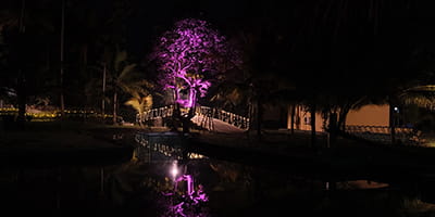 Top Villa Stay Near ktdc Kumarakom Keralam